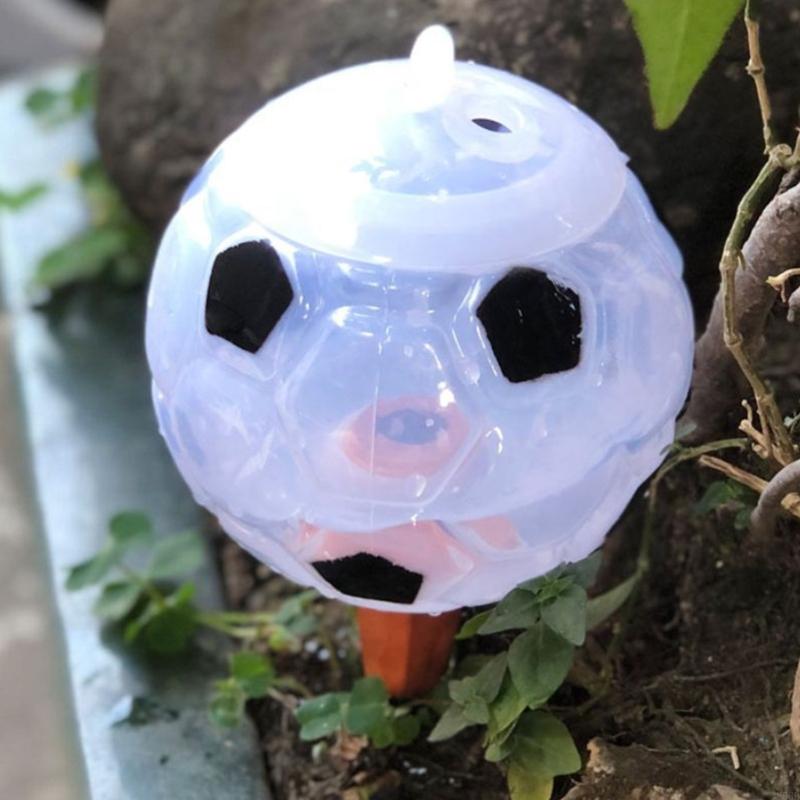 Smarted Bóng Đá Tưới Cây Tự Độ - đánh giá và giá Smart Garden Devices