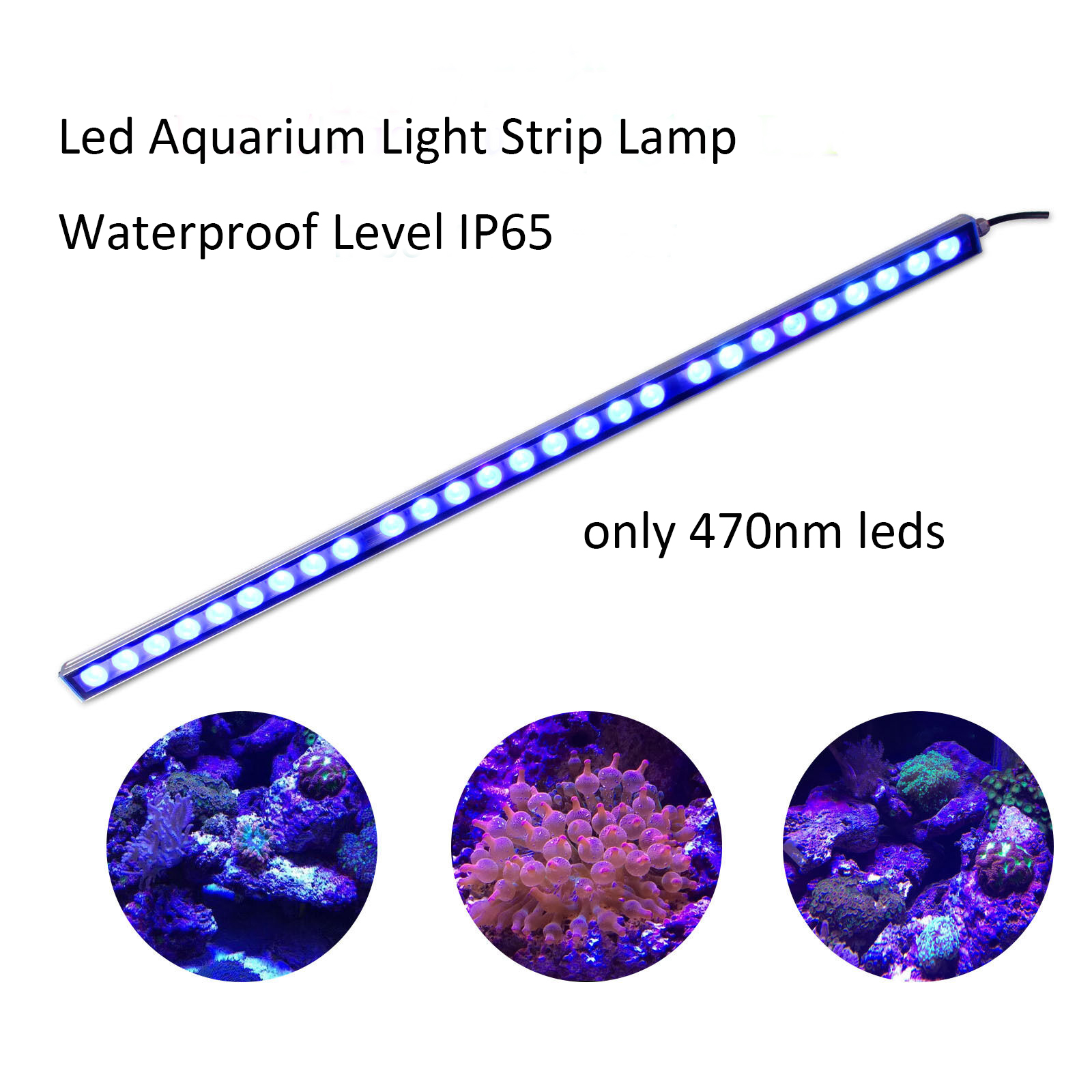 54W 81W 108W Đèn LED Thanh IP6 - đánh giá và giá Led Plant Light Strip