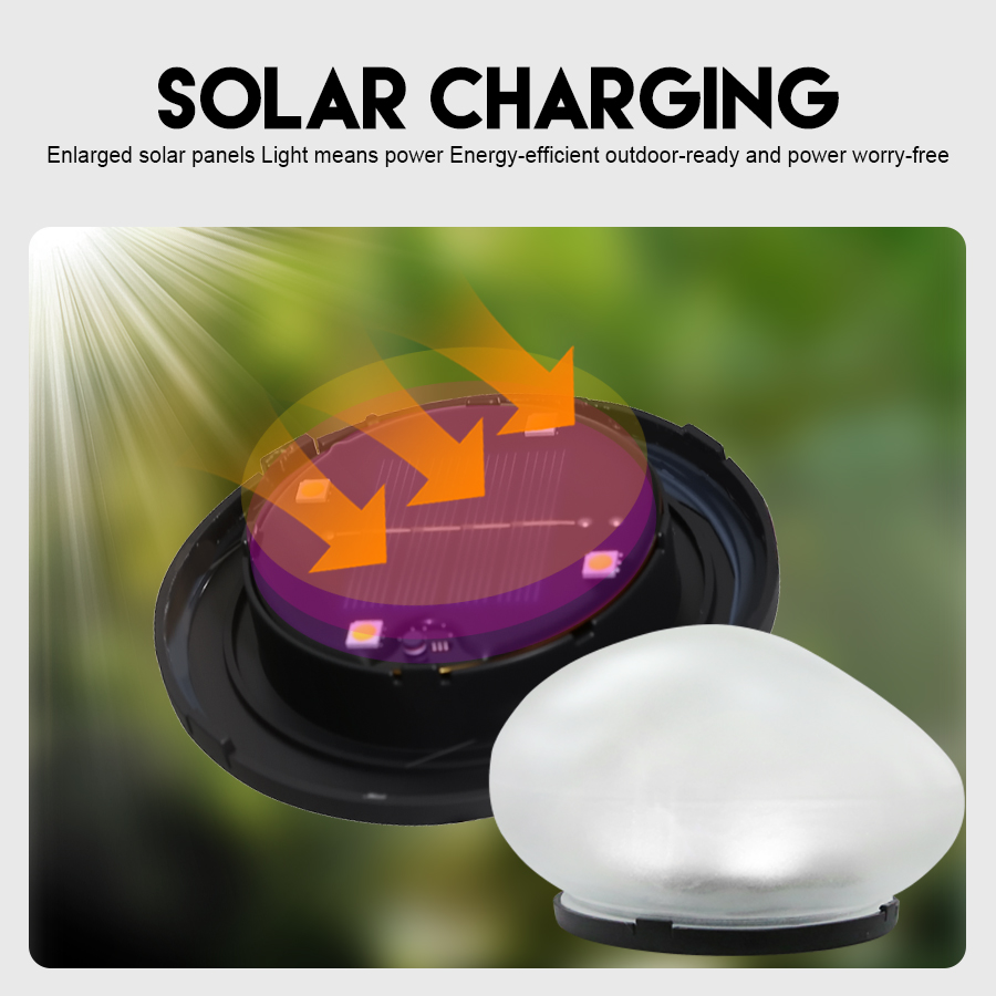 Solar Decorative Lamp Frosted  - đánh giá và giá Smart Garden Light Camera