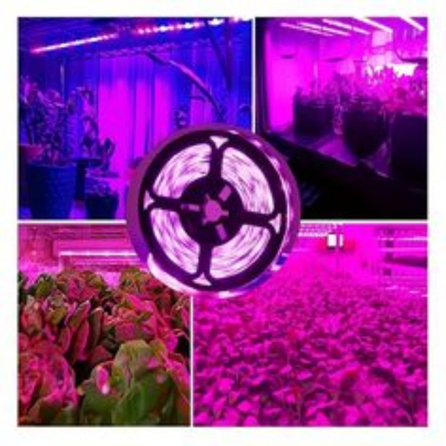 1M/2M/3M/5M/10M LED Full Spect - đánh giá và giá Led Plant Light Strip