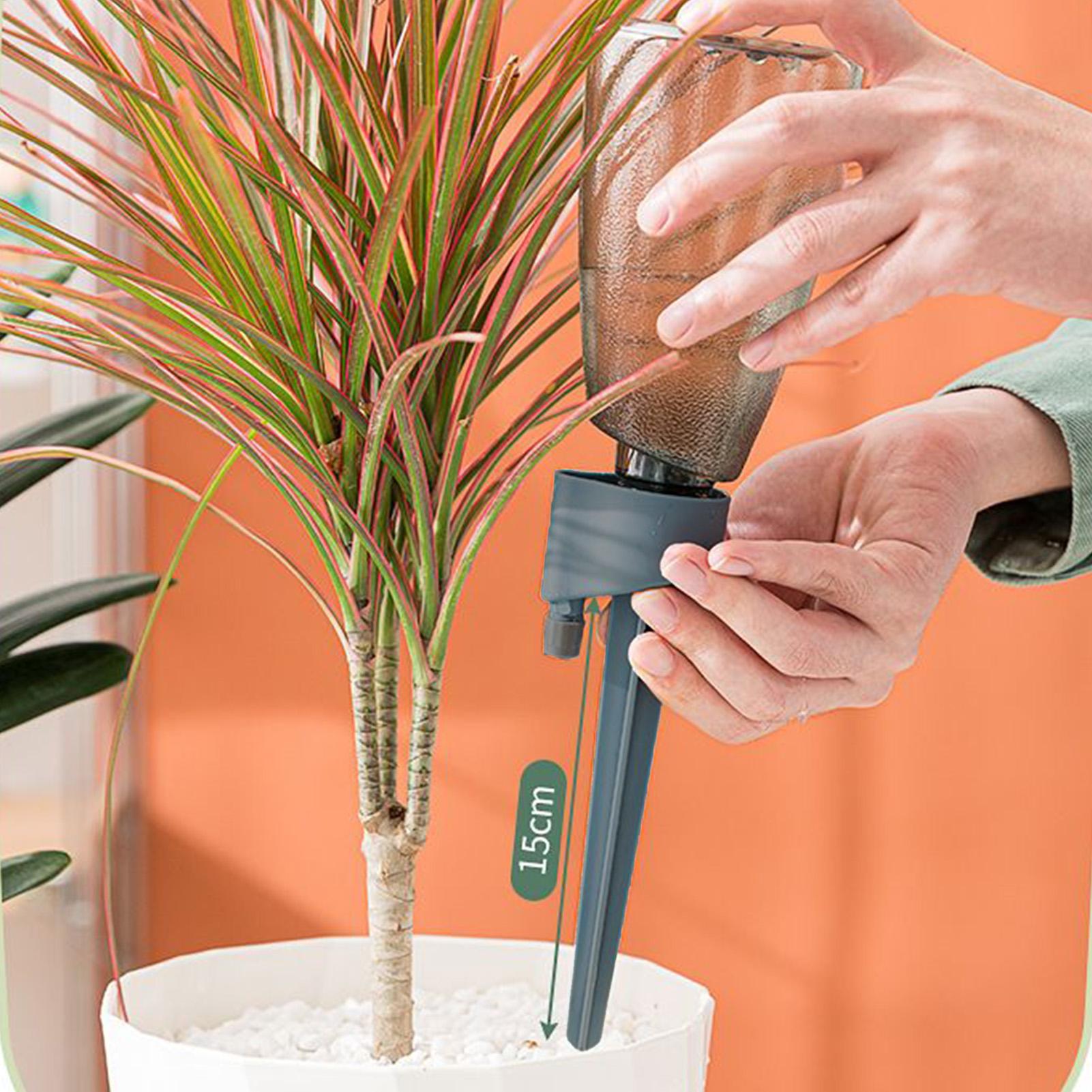 6pcs Automatic Waterer Househo - đánh giá và giá Smart Garden Furniture