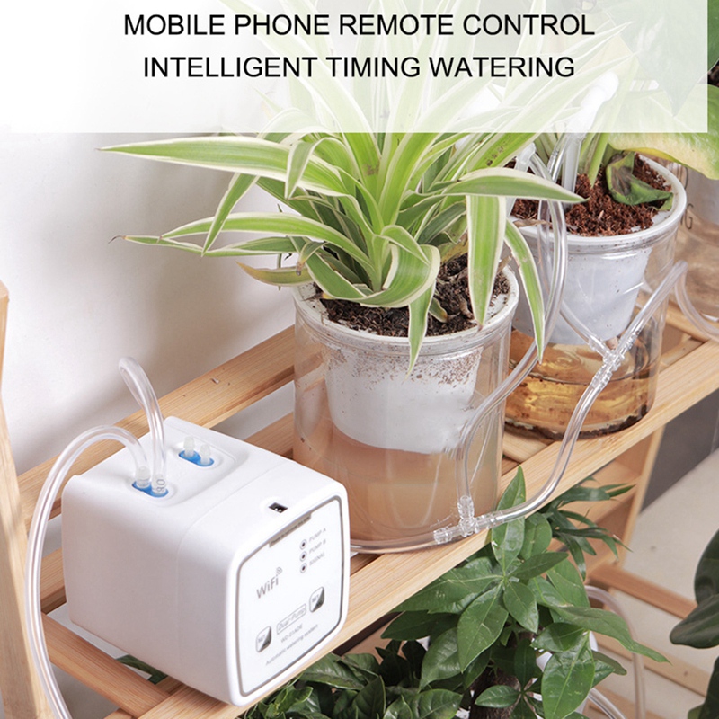 WIFI Smart Watering Device Dou - đánh giá và giá Smart Garden Devices